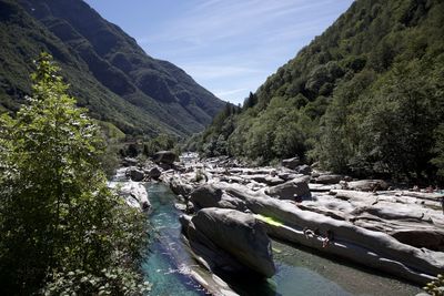 Scenic view of river amidst trees against sky