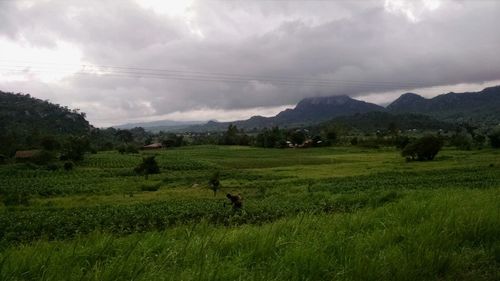 Scenic view of grassy field against cloudy sky