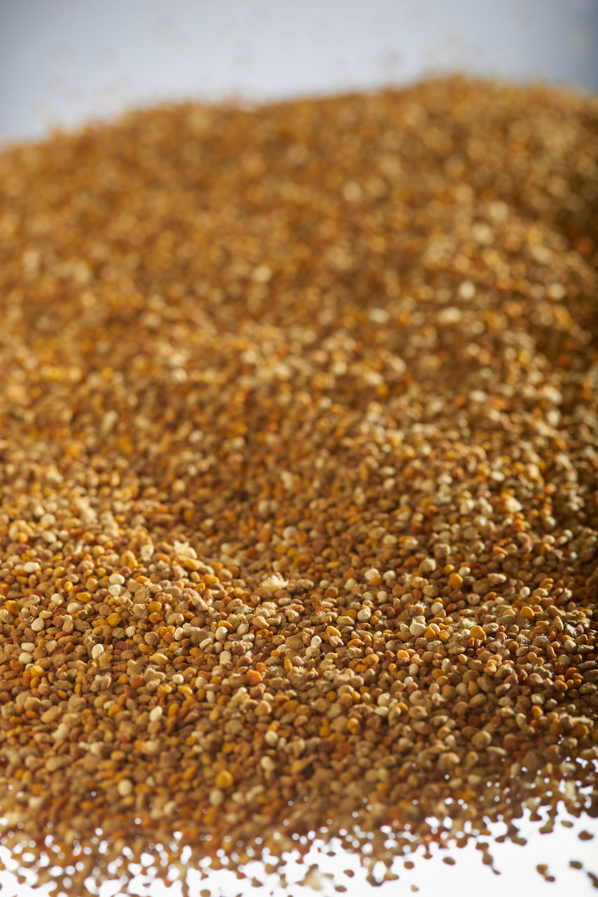 CLOSE-UP OF FOOD ON FLOOR AGAINST WHITE BACKGROUND