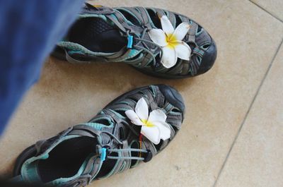 Low section of person wearing shoes on floor