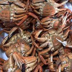 Appealing crabs on sale at the central market in cadiz, spain. 