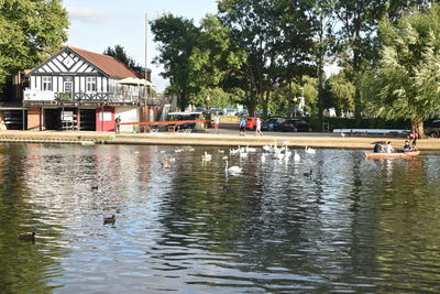 People swimming in lake against sky