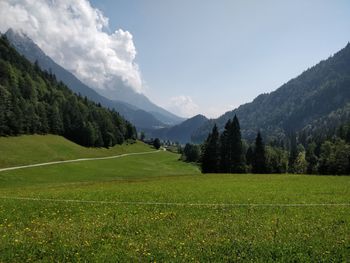 Scenic view of field against sky