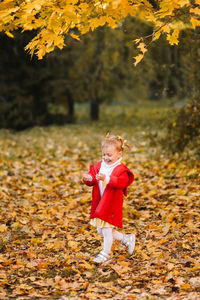 Funny little girl in a red coat catches fall leaves having fun and walking in the autumn forest