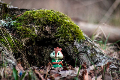 Close-up of stuffed toy on field