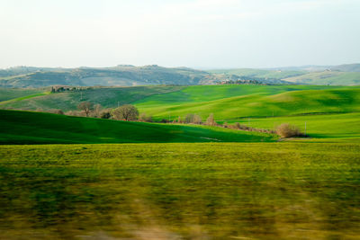 Wonderful tuscane