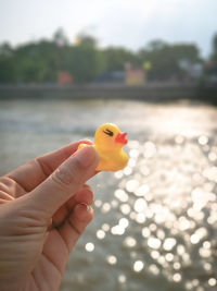 Close-up of hand holding yellow toy