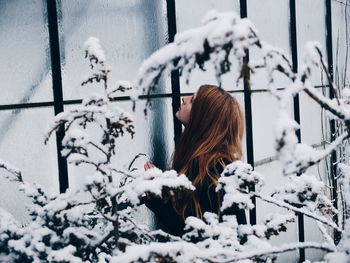 Close-up of snow covered plants during winter