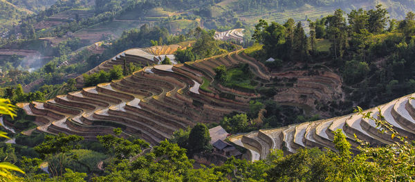 Season to get water into the fields for terraced rice fields