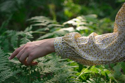 Close-up of hand on plant