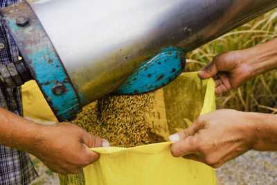 Close-up of farmers holding plastic bag