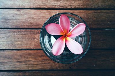 Directly above shot of flowers on wooden table