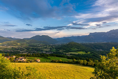 Scenic view of agricultural field against sky