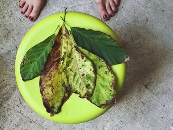 Midsection of person holding fruit