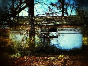 Built structure with trees in background