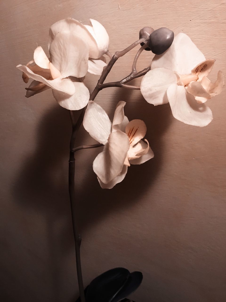 CLOSE-UP OF WHITE ROSES ON TABLE