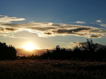 Scenic view of field against sky during sunset