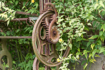 Close-up of rusty wheel