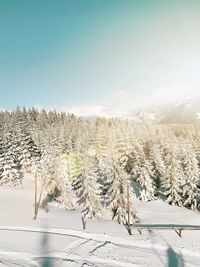 Scenic view of snow covered land against sky