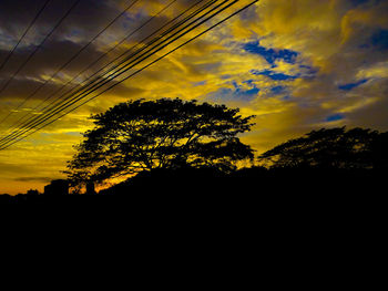 Silhouette of tree against dramatic sky