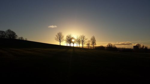 Silhouette of trees at sunset