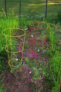 Playground on grassy field