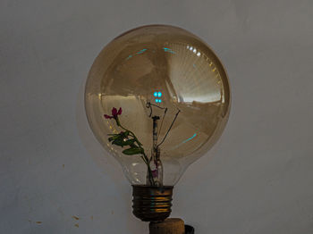 Close-up of illuminated light bulb against wall