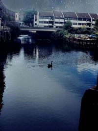 River with buildings in background