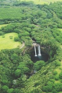 Scenic view of waterfall