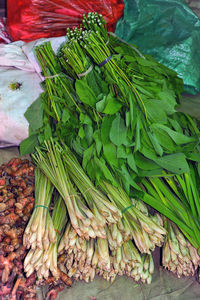 High angle view of vegetables