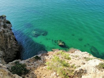 High angle view of rocks on beach