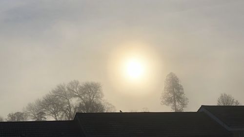 Trees and houses against sky