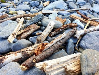 High angle view of pebbles  and driftwood on rocks