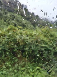 Full frame shot of wet glass