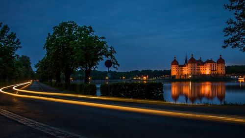 Light trails by trees against sky at night