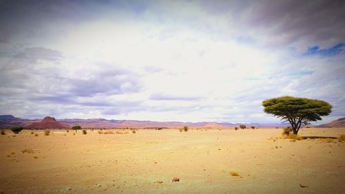 Scenic view of desert against sky