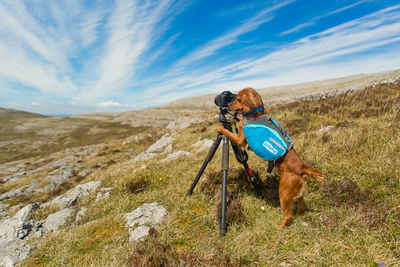 Man with horse on mountain against sky