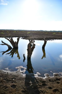 Scenic view of lake against sky