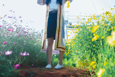 Low section of woman standing on yellow flowering plants