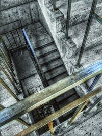 Close-up of tree stump