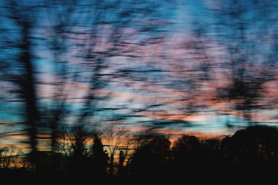 Blurred motion of trees in forest