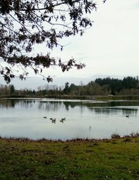 Scenic view of lake against sky