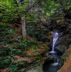 Waterfall in forest