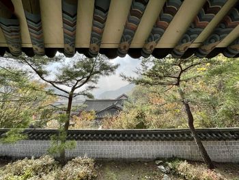 Smoke emitting from railing by trees