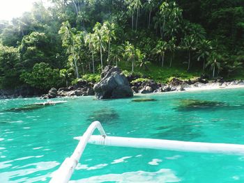 Scenery with water and trees