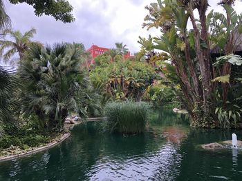 Scenic view of palm trees by lake against sky