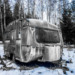 Snow covered field by trees in forest