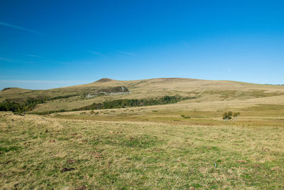 Scenic view of field against blue sky