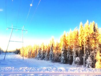 Scenic view of snow covered field against clear sky