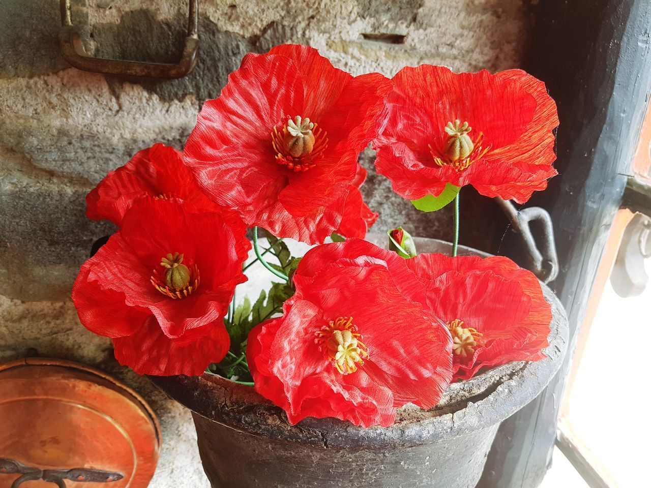 HIGH ANGLE VIEW OF RED ROSE ON TABLE